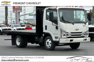 2026 Chevrolet Low Cab Forward 3500 HG 1WT