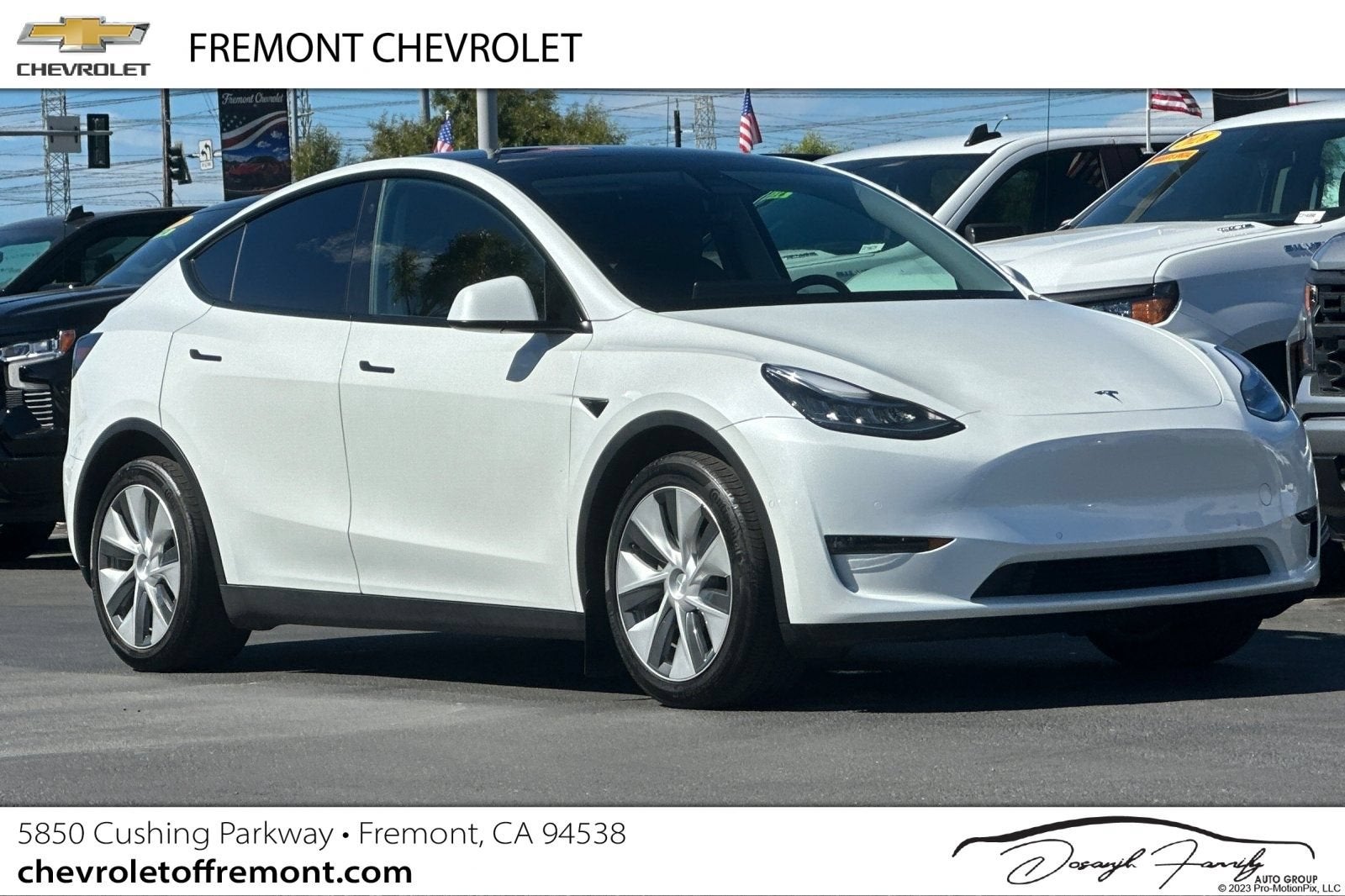 2021 Tesla Model Y