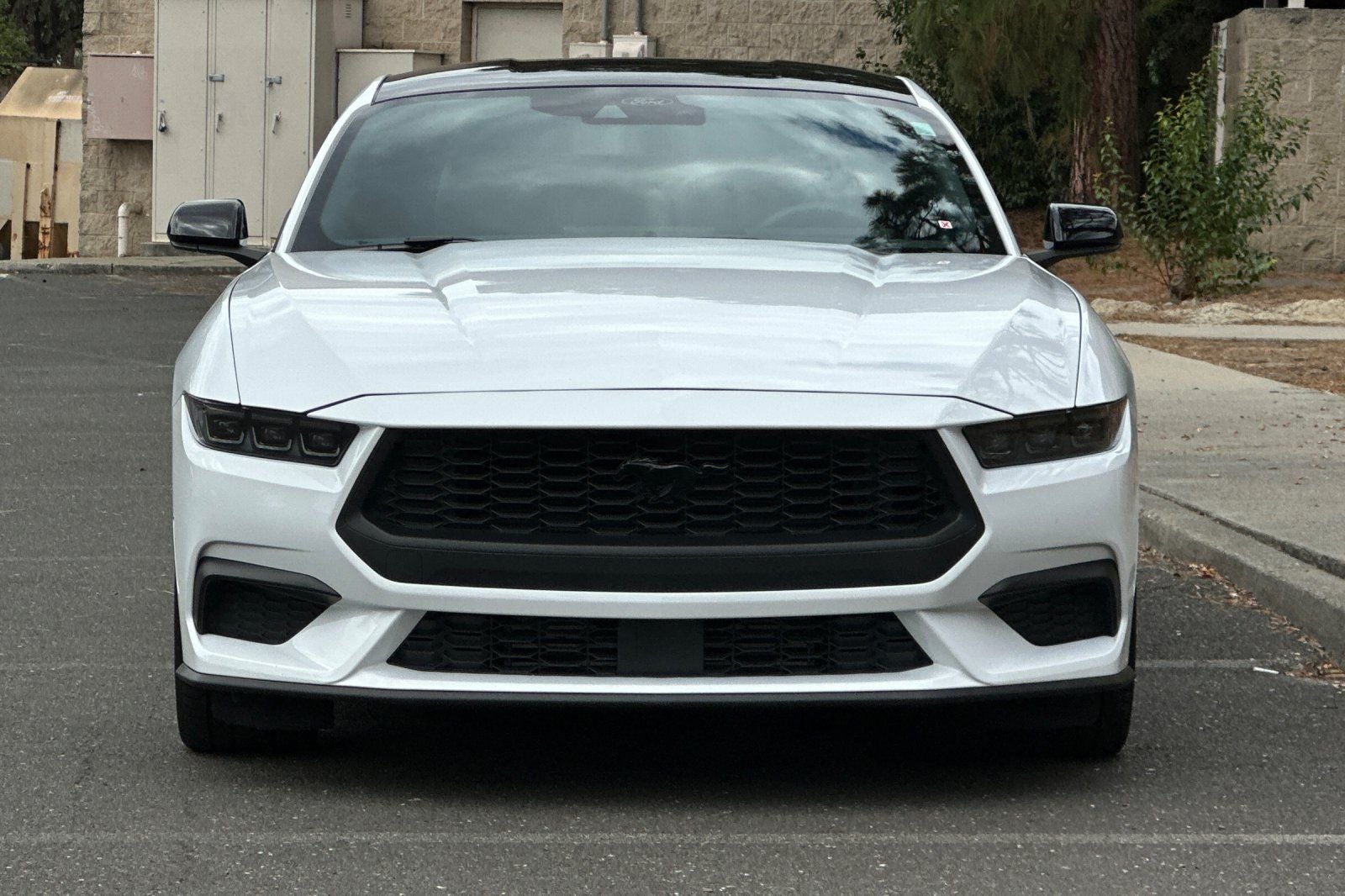 2024 Ford Mustang EcoBoost