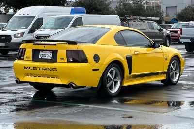 2004 Ford Mustang Mach 1 Premium