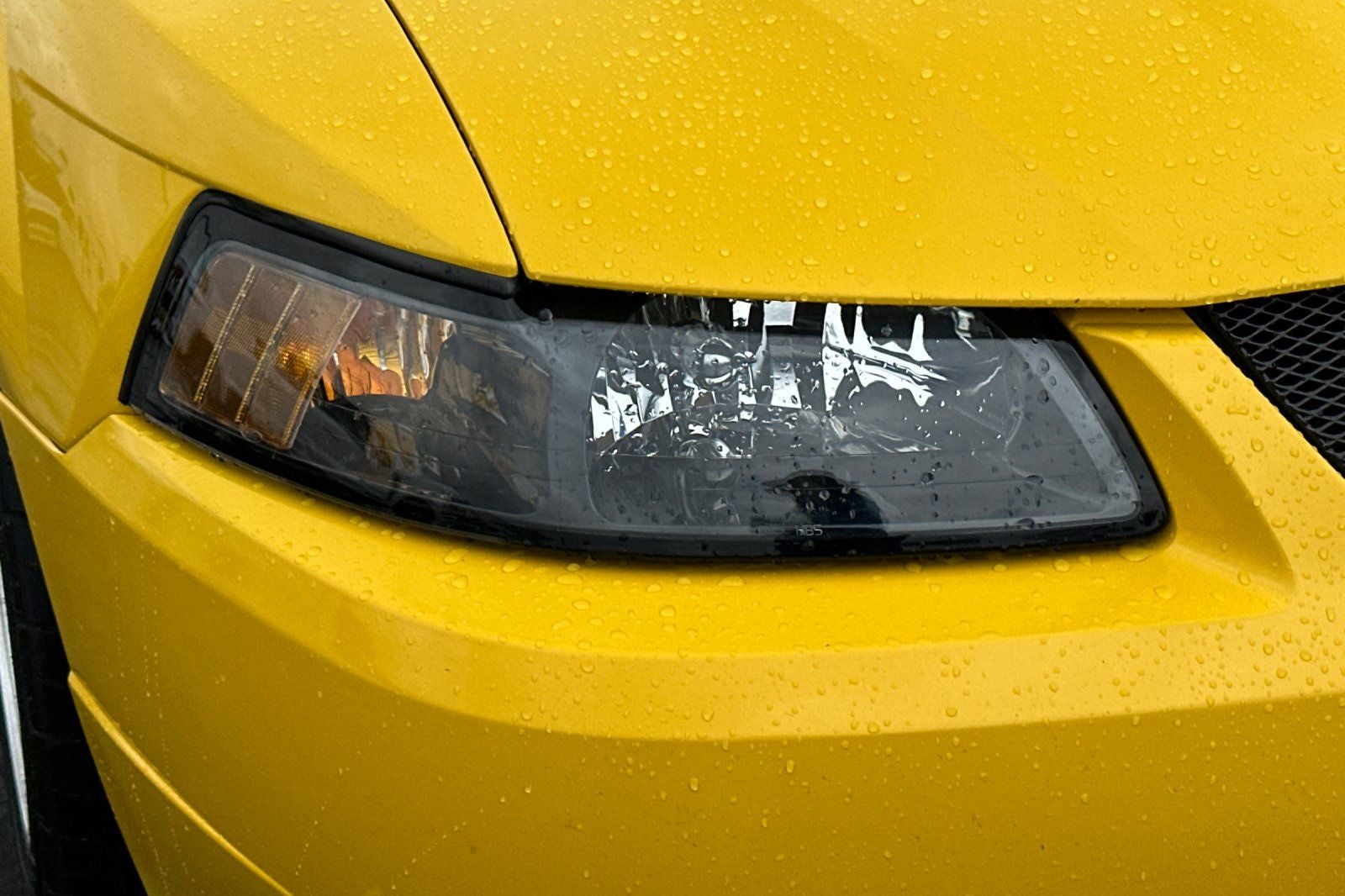 2004 Ford Mustang Mach 1 Premium