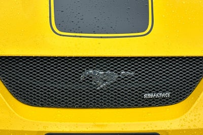 2004 Ford Mustang Mach 1 Premium