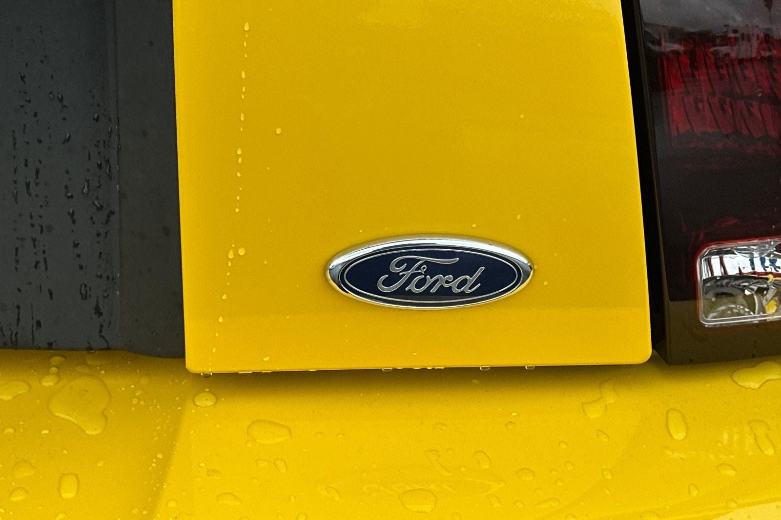 2004 Ford Mustang Mach 1 Premium