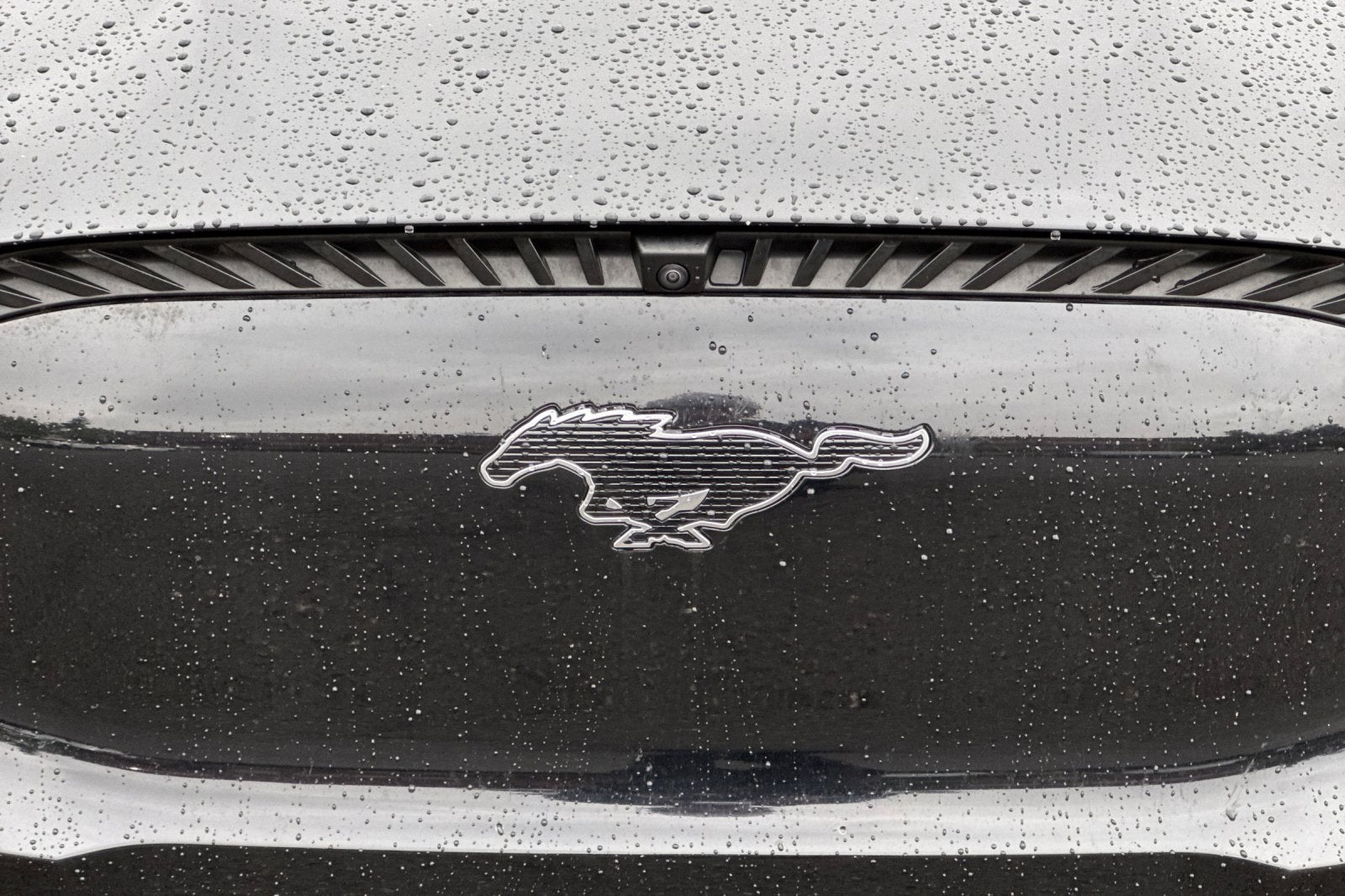 2023 Ford Mustang Mach-E Select