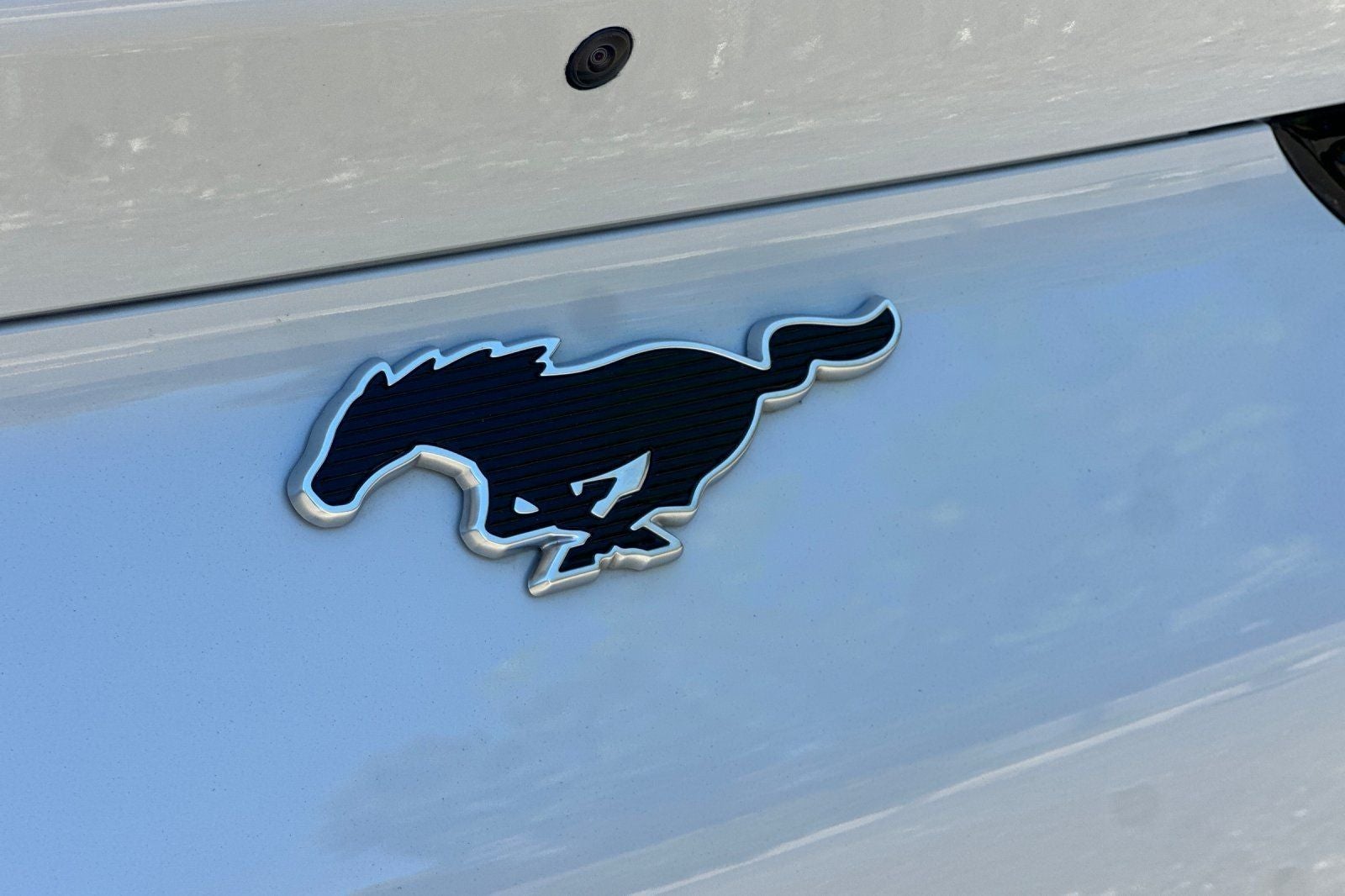 2023 Ford Mustang Mach-E California Route 1