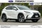 2021 Lexus NX 300h