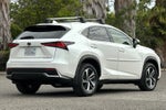 2021 Lexus NX 300h