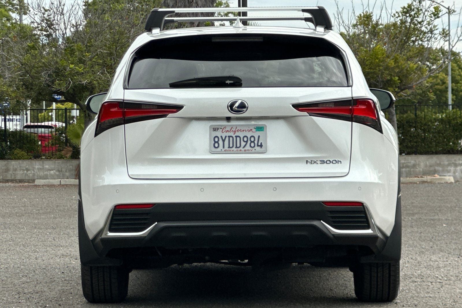2021 Lexus NX 300h