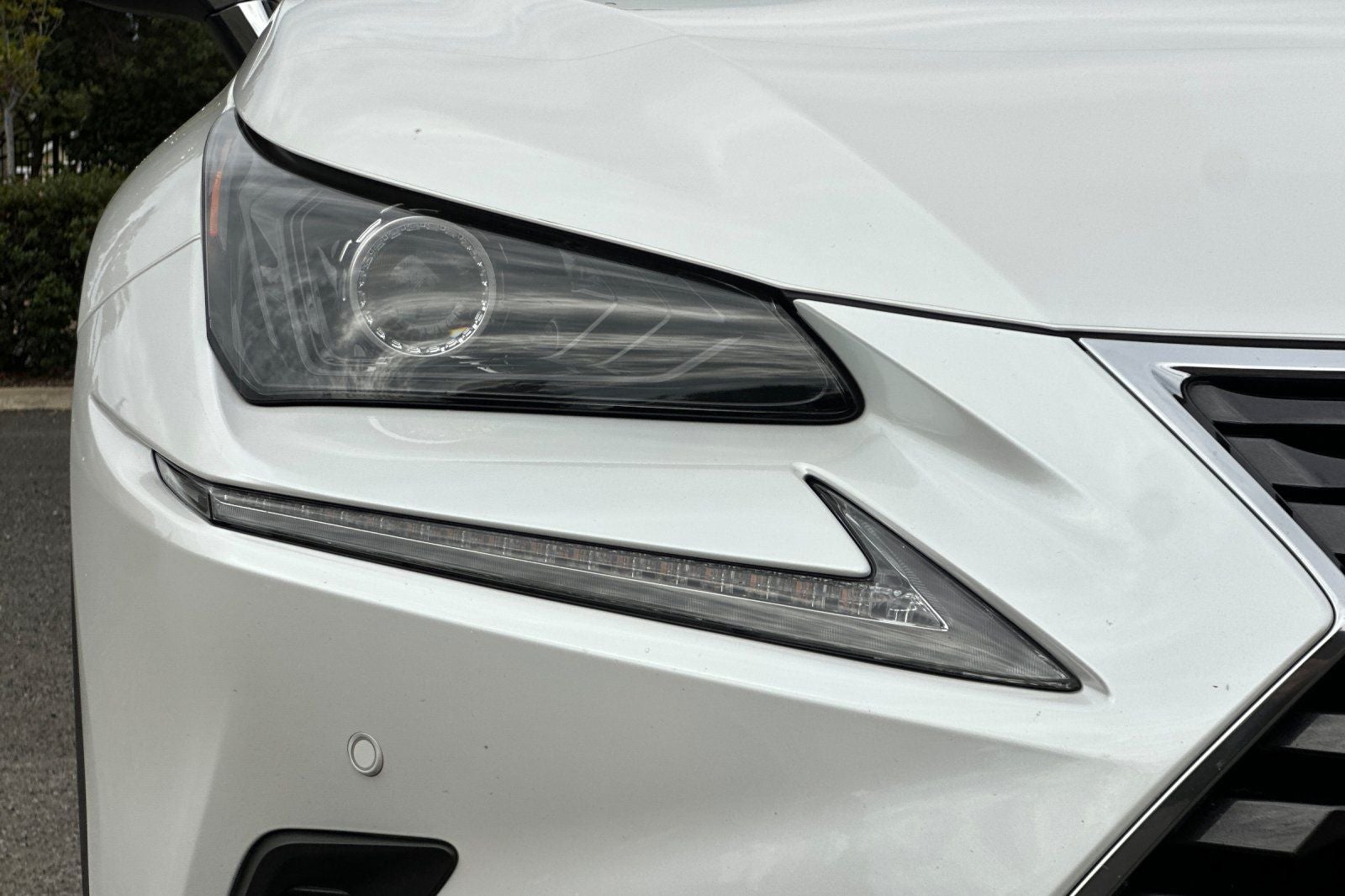 2021 Lexus NX 300h